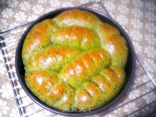 菠菜海苔肉松餐包的做法步骤：8