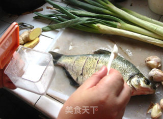 红烧鳊鱼的做法步骤：5