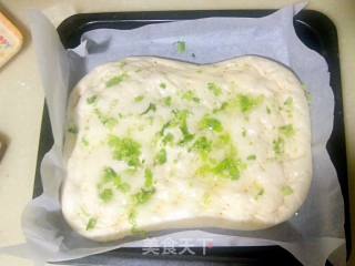 肉松面包的做法步骤：6