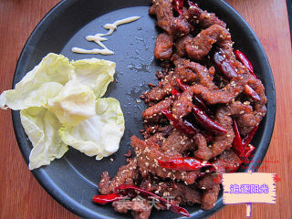 麻辣牛肉条--永远的经典的做法步骤：9