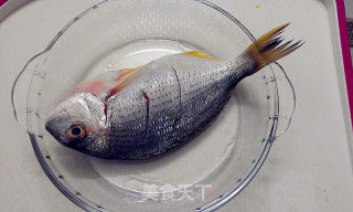 中式酱料の清蒸鱼露——清蒸黄脚立的做法步骤：4