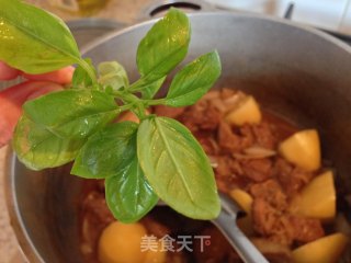 红酒烩牛腩饭的做法步骤：8
