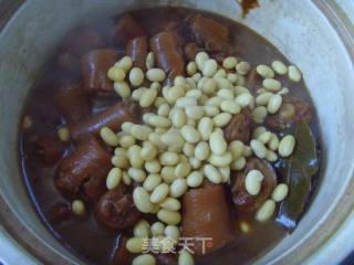 香浓软糯---黄豆焖猪尾的做法步骤：6
