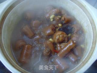 香浓软糯---黄豆焖猪尾的做法步骤：7