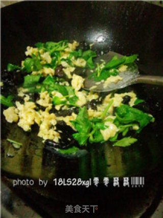 私房菜：木耳炒鸡蛋的做法步骤：8
