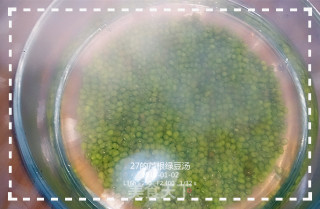 27的药食日记——芦根绿豆汤的做法步骤：2