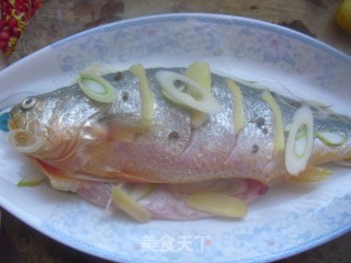 茄汁黄花鱼的做法步骤：1