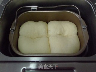 蜜豆墨西哥大面包的做法步骤：16