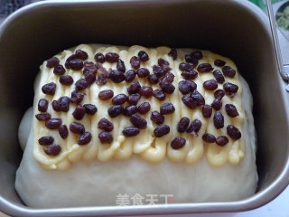 蜜豆墨西哥大面包的做法步骤：19