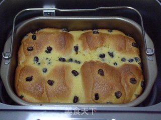 蜜豆墨西哥大面包的做法步骤：20