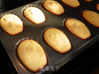 蕃茄味玛德琳的做法步骤：9