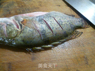葱油桂鱼的做法步骤：2