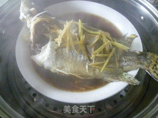 葱油桂鱼的做法步骤：10