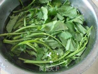 杏仁拌萝卜苔的做法步骤：4
