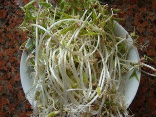 炒绿豆芽的做法步骤：1