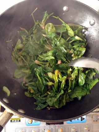 清淡解腻----素炒菠菜的做法步骤：4