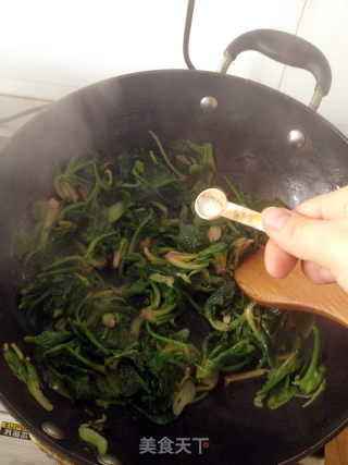 清淡解腻----素炒菠菜的做法步骤：5