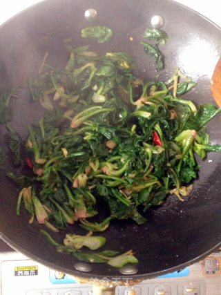 清淡解腻----素炒菠菜的做法步骤：7