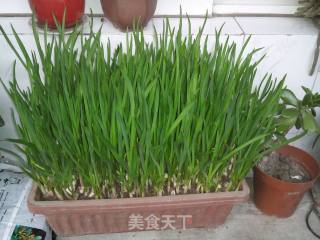 香菇炒鸡蛋的做法步骤：5