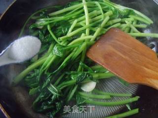 清香爽口---清炒菜心的做法步骤：4