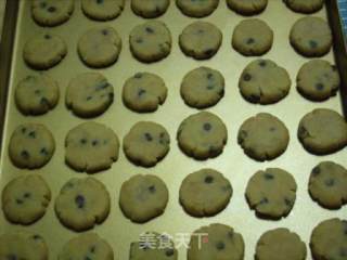 全麦巧克力饼干的做法步骤：9