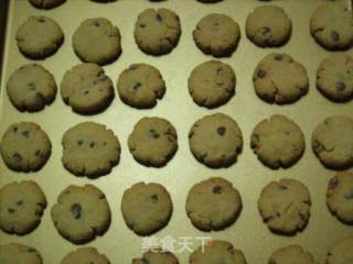 全麦巧克力饼干的做法步骤：10
