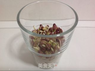 豆你玩-绿豆芽苗菜的做法步骤：5