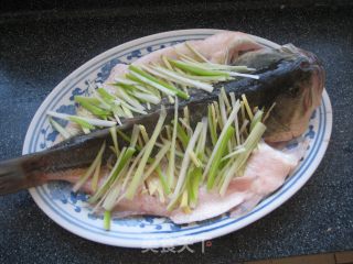 清蒸鲈鱼的做法步骤：5