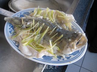 清蒸鲈鱼的做法步骤：8