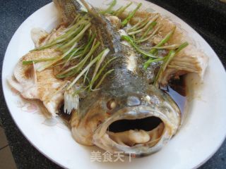 清蒸鲈鱼的做法步骤：12