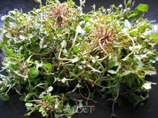 黄花菜饺子的做法步骤：1