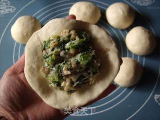 菜肉馒头的做法步骤：11