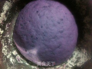 QQ紫薯馒头的做法步骤：5