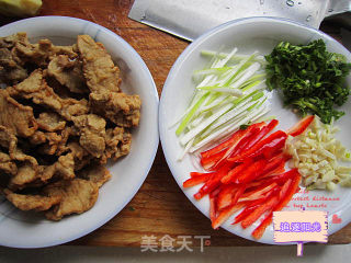 锅包肉--番茄酱版锅包肉的做法步骤：5