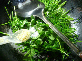 清炒草籽的做法步骤：6