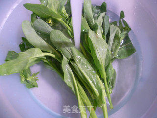 里脊肉炒油菜蕻的做法步骤：2