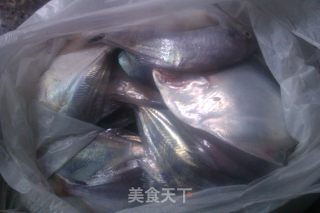 雪菜烧小鲳鱼的做法步骤：1
