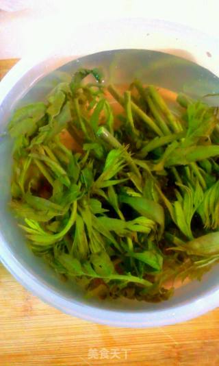 香椿蛋饼的做法步骤：4