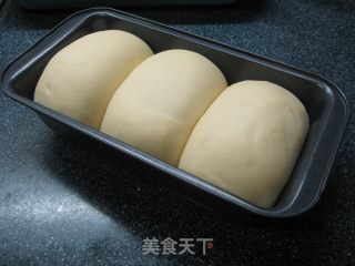 原味富强粉吐司的做法步骤：7
