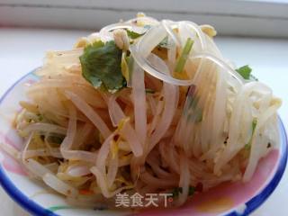 凉拌豆芽粉的做法步骤：13