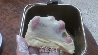 纯蛋白土司的做法步骤：5