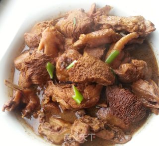 猴头姑炖土鸡的做法步骤：4