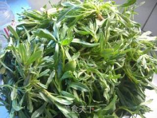 凉拌猫妮菜的做法步骤：1