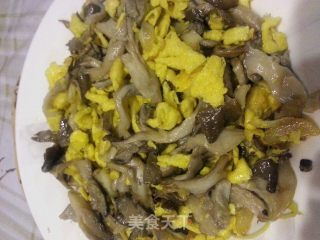 平菇鸡蛋的做法步骤：5