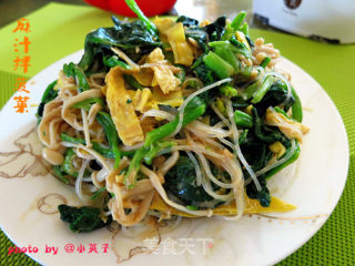 麻汁拌菠菜的做法步骤：8