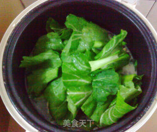 咸蛋芥菜瘦肉汤的做法步骤：8