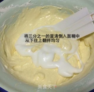 芝士蛋糕的做法步骤：13