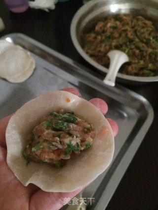荠菜饺子的做法步骤：7