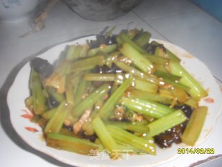 茄汁芹菜木耳小炒肉的做法步骤：9