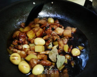 红烧肉-津氏的做法步骤：9
